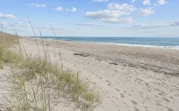 Just For The Halibut Ocean Front StayPet-Friendly - 3つ星