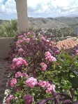 VALLEY VIEW LODGE luxury, home from home, 5 mins to beach resort, theme parks!