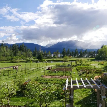 Otter Lake B&B, Denman Island, BC, Canadafamily friendly, coastal