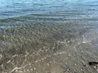 Beach Lovers Paradise!  Cozy 3 bedroom home steps from the beach. - Beach