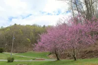 Scenic cabin near Hungry Mother, Mount Rogers, and Grayson Highlands Parks