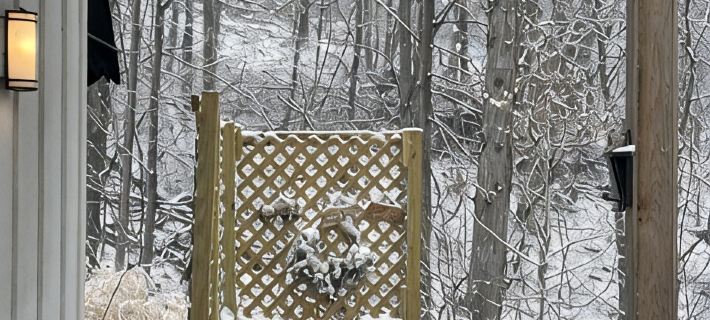 Secluded, Cozy Cottage in the Shenandoah Valley Ξενοδοχεία στην πόλη Shenandoah County