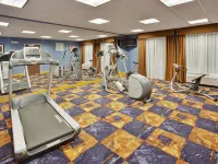 Holiday Inn Express & Suites SACRAMENTO NE CAL EXPO by IHG Các khách sạn gần Khu thương mại hội chợ Arden