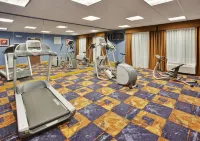 Holiday Inn Express & Suites SACRAMENTO NE CAL EXPO by IHG
