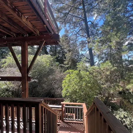Treetop Refuge in Oakland Hills