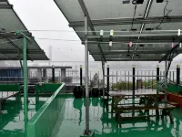 Yeosu Amor Hostel Отели рядом с достопримечательностью «Маяк Хамель»