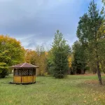 Парк-отель Сосновый Бор - Интернет