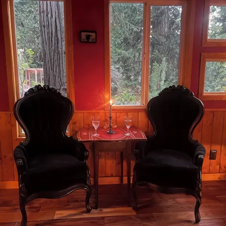 Secluded mystical cabin in Idyllwild-Pine Cove