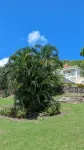 Caribbean Sea View Cottage Hotele w: 