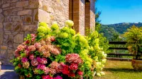 L'Angolo di Verlano - Villas