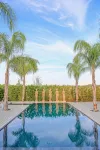 Herdade da Rocha - Boutique Lodge - bar