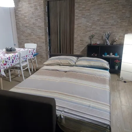 Central House Apartment