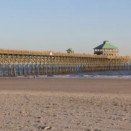 Handicap Friendly Pets Allowed Beach House - Ocean Across the Street with Elevator!