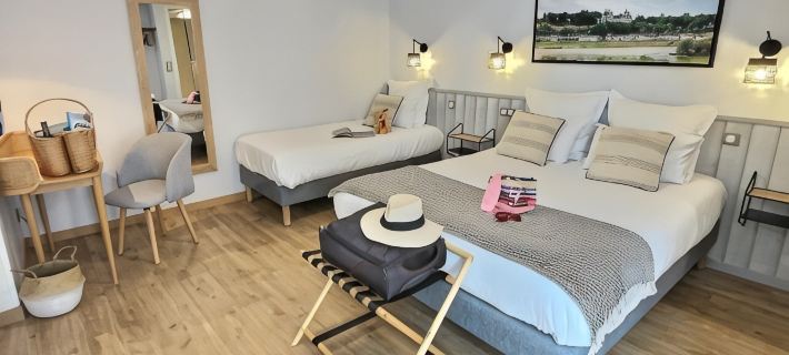 Logis Hôtel du Cygne Hotels in Loir-et-Cher