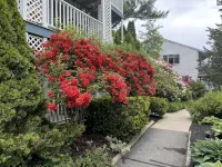 Quaint Ogunquit Condo 5 Min.Walk To Perkins Cove & Marginal Way - Homestays