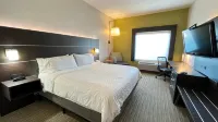 Holiday Inn Express & Suites DECATUR by IHG - Wifi