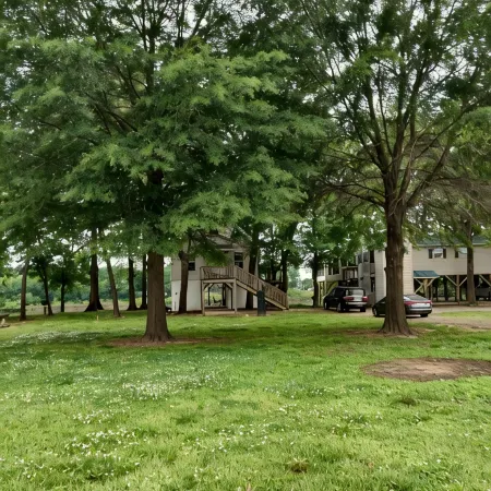 Riverfront Retreat & Fisherman's Gold, on TN River