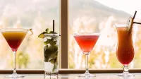 Four Seasons Hotel, Carlingford - bar