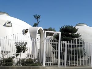 Lodge Dome House