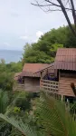 Sweet Jungle Bungalows Hotels near Jungle zoo