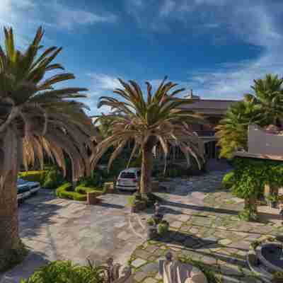 Casa Las Palmas & Suites, San Miguel de Allende Hotel Exterior