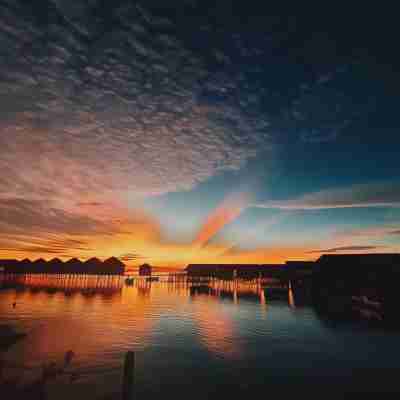 Derawan Fisheries Cottage Others