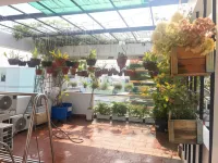 XAM HOUSE HOSTEL Hotels in 