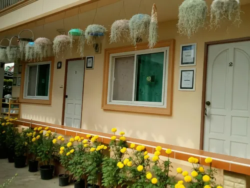 2N住宿加早餐旅館 - 接送服務/穿梭巴士