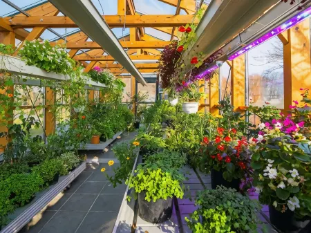 Rosevia Resort & Spa