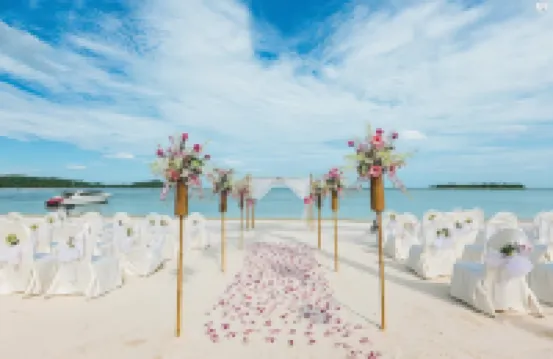 インドリヤ サンズ