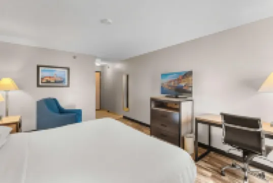 เบย์มอนท์ บายวินด์แฮม ลอเรนซ์