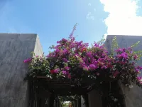 Chalé Palhano Beach Hotels in São Miguel dos Milagres