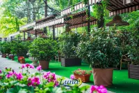 Luna Hotel Hotel in zona Museo Nazionale d’Arte della Moldavia. Casa Herța