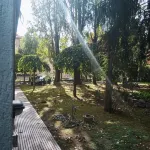 Magia di Mare - Barer