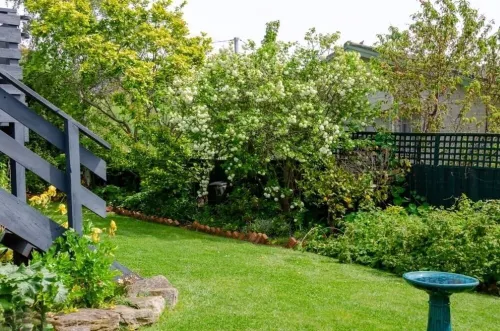 Lynmouth Cottage - A cosy home away from home Hotels in New Town