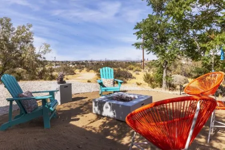 The Joshua Tree Desert Duo - A