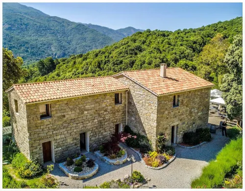 Maison d'Hôtes Zella Hotels in Albitreccia