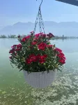 Lakes and Peaks