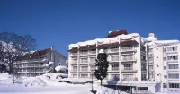 Akakura Hotel - ينابيع ساخنة