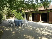 Gatao: Cottage in the begining of Douro very cosy and peaceful