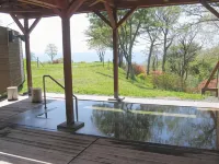 Hotel Izumi