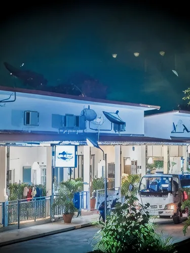 รูปภาพของบลูมูน