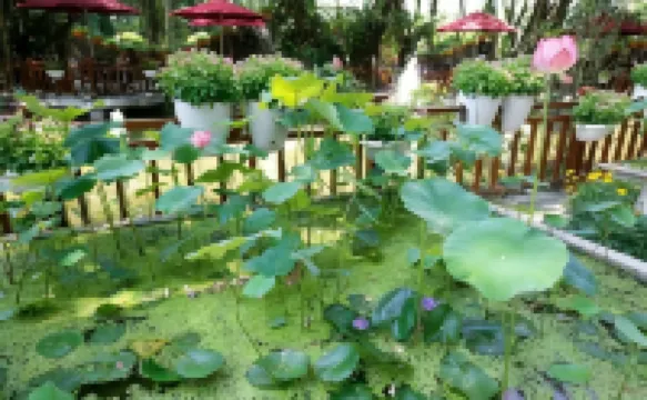 Song Hong Resort โรงแรมใน