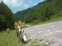 Ocean Cruise Inn Hotels in Chiisagata District