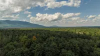Catskills Cabin Near Hits Saugerties Pool + Hot Tub Fenced Yard Pet Friendly - Pools