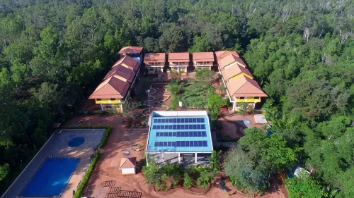 Paradise Auro Jungle Resort