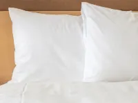 Augusta Villa St Pio Guest House Hotels in Edenvale