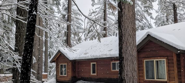 Charming 4-bedroom "Pine Hill Home" in Arnold near Big Trees Park & Bear Valley Hotels in Arnold