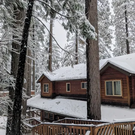 Charming 4-bedroom "Pine Hill Home" in Arnold near Big Trees Park & Bear Valley Отели в г. Арнолд