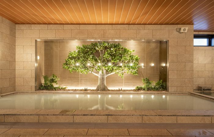 Tabino Hotel Aso Kumamoto Airport
